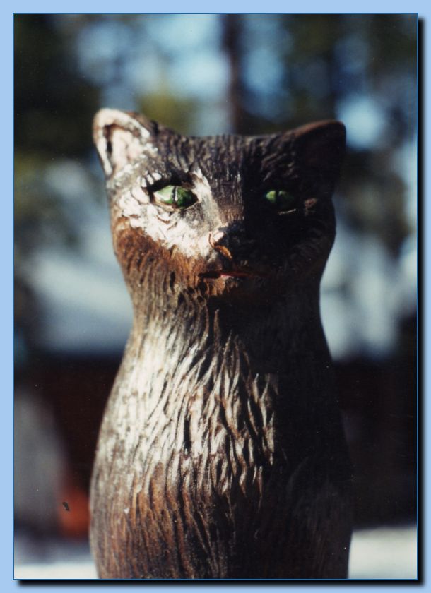 2-61 cat portrait-archive-0004